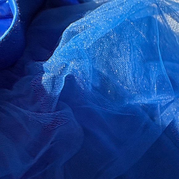 NWT Windsor multi layer blue tulle skirt size XL - Picture 4 of 6